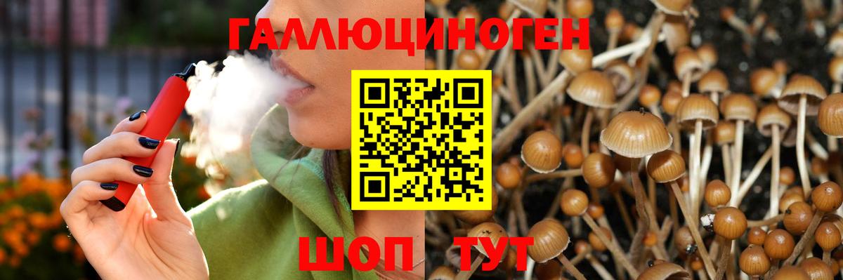 Псилоцибиновые грибы Cubensis Тулун